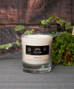 Cassis and Fig Scented Candle