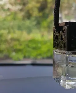 Lemongrass & Ginger Car Diffuser