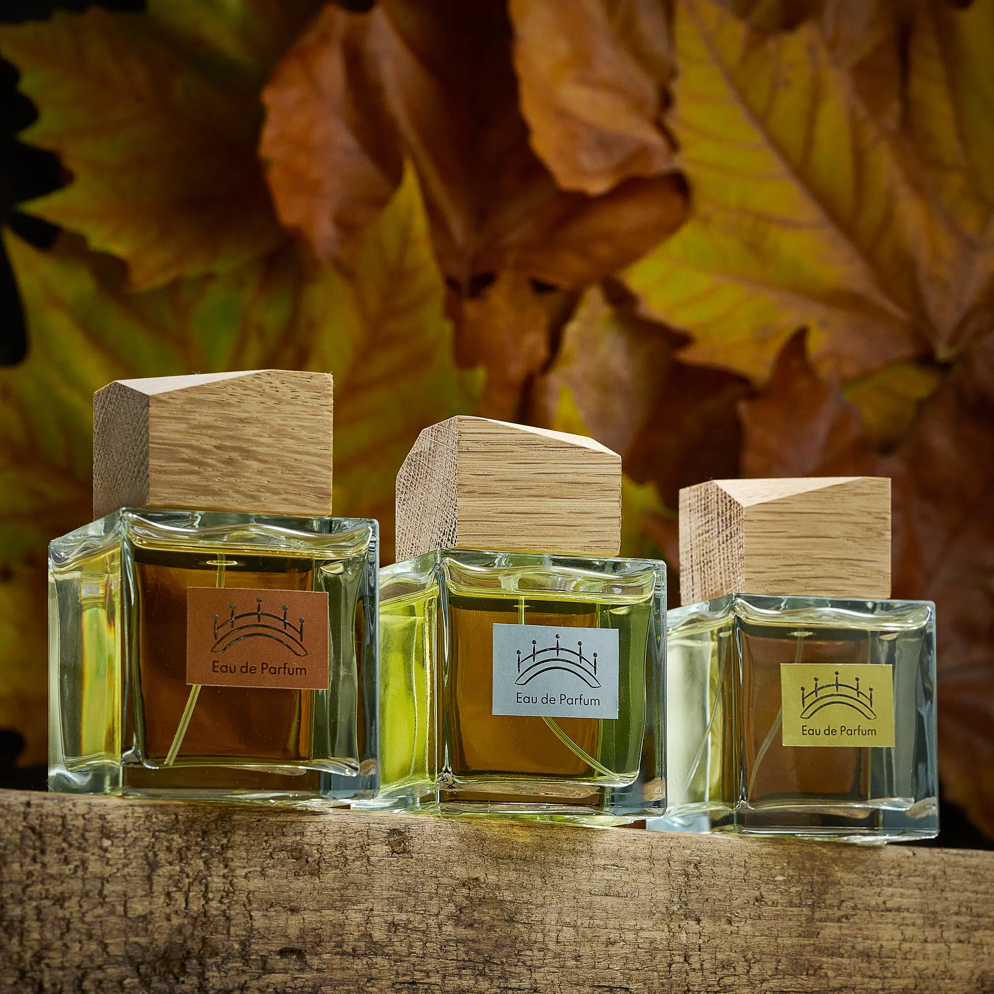 FragranceMe Perfume Collection