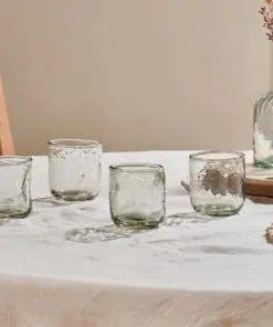 Chandani Tumbler Short - Clear - Set of 4