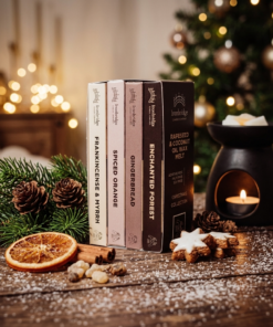 Christmas Wax Melt Collection lifestyle image showing the festive gift box with four full-size seasonal wax melt snap bars, styled with Christmas decorations and warming fragrance ingredients