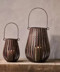 Pothos Lantern Collection