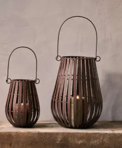 Pothos Lantern Collection