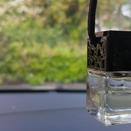 Lemongrass & Ginger Car Diffuser
