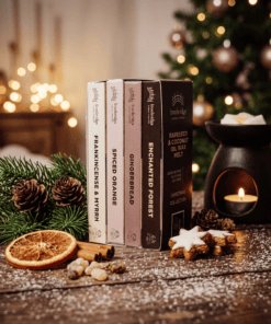 Christmas Wax Melt Collection lifestyle image showing the festive gift box with four full-size seasonal wax melt snap bars, styled with Christmas decorations and warming fragrance ingredients