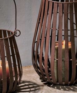 Pothos Lantern Collection