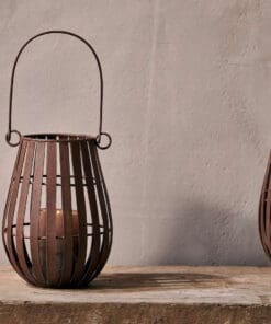 Pothos Lantern - Small