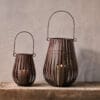 Pothos Lantern Collection