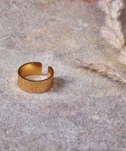 Aavani Ring - Gold